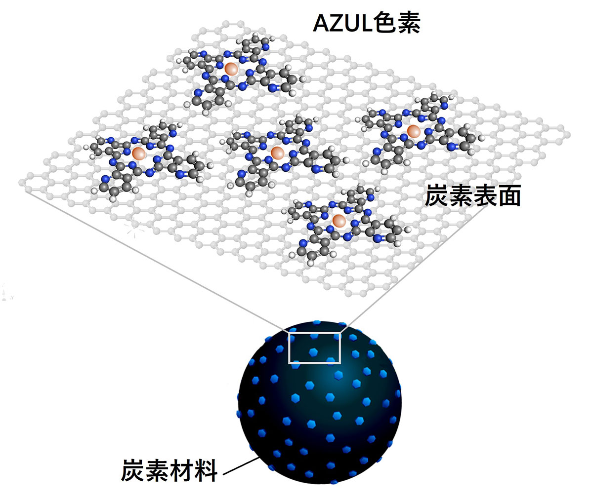 AZUL色素と炭素担体の構造図