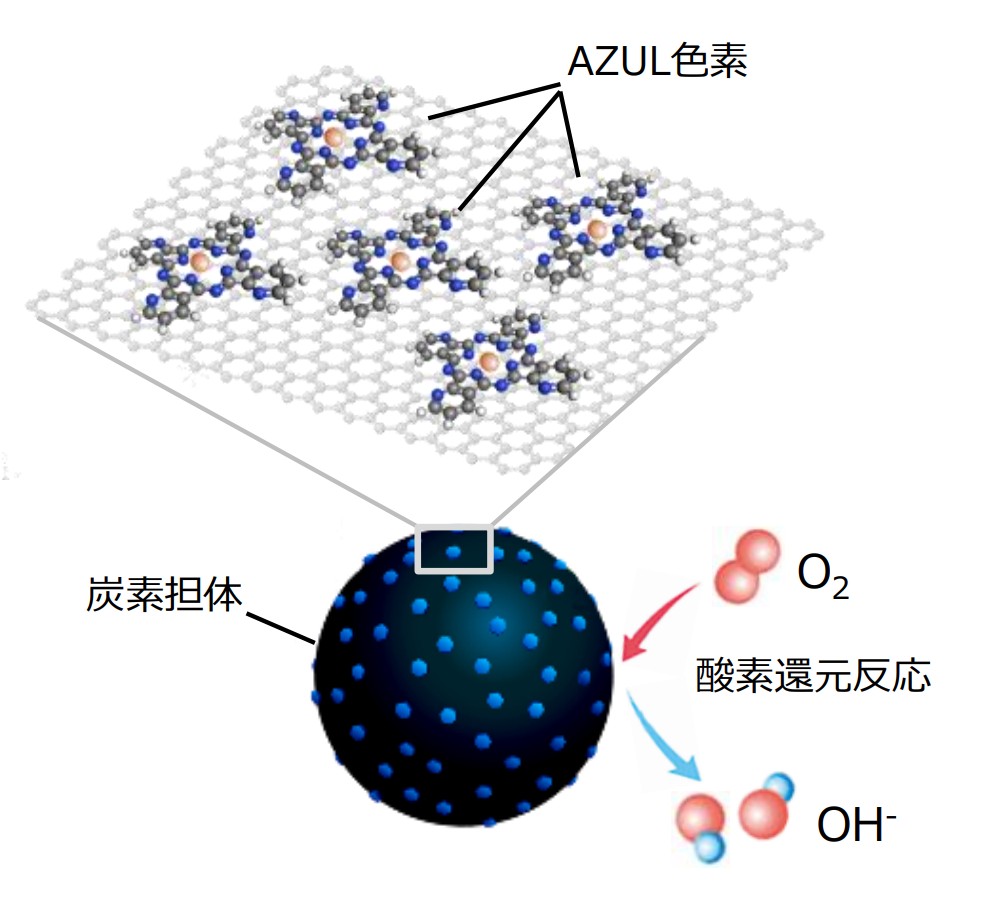 AZUL触媒_炭素担持